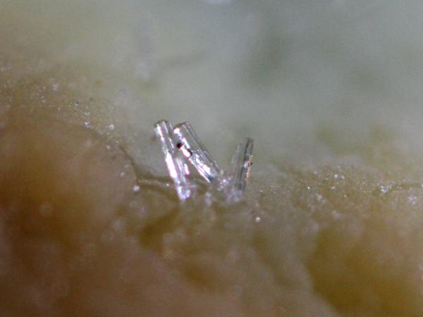 Wavellita sobre Turquesa
campo 2 mm.
(Autor: usoz)