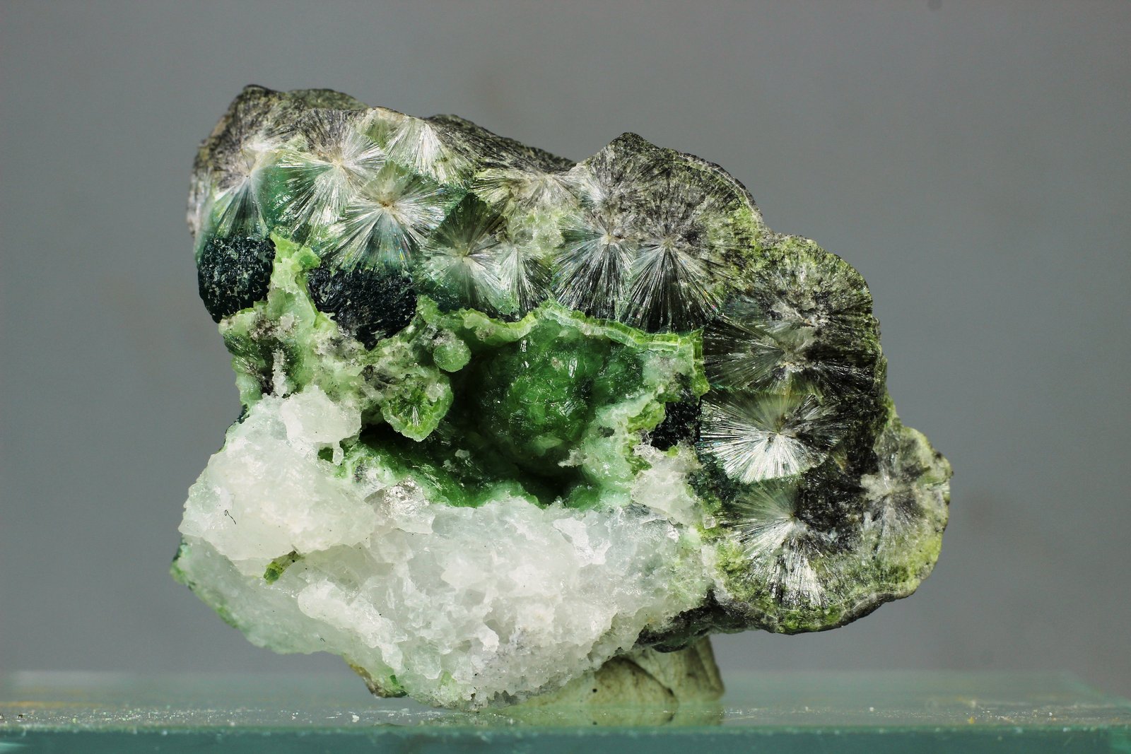 Wavellita
41x33x13 mm.
(Autor: Juan Espino)