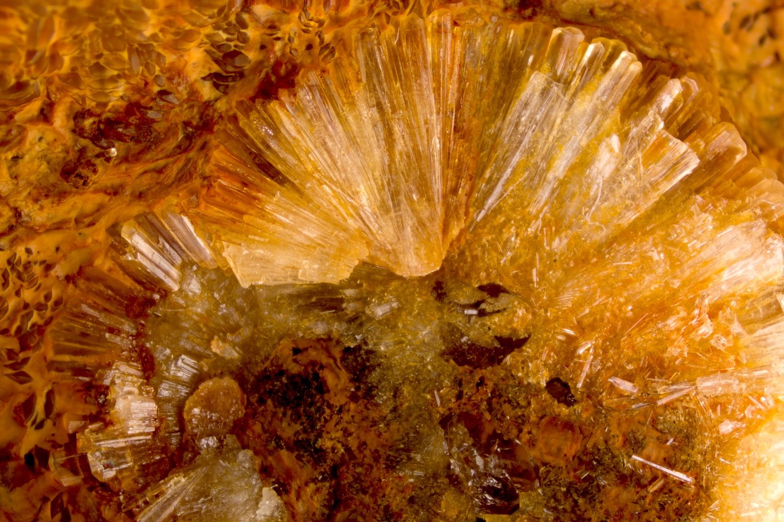 Wavellita
FOV 1.2 cm
(Autor: Cesar M. Salvan)