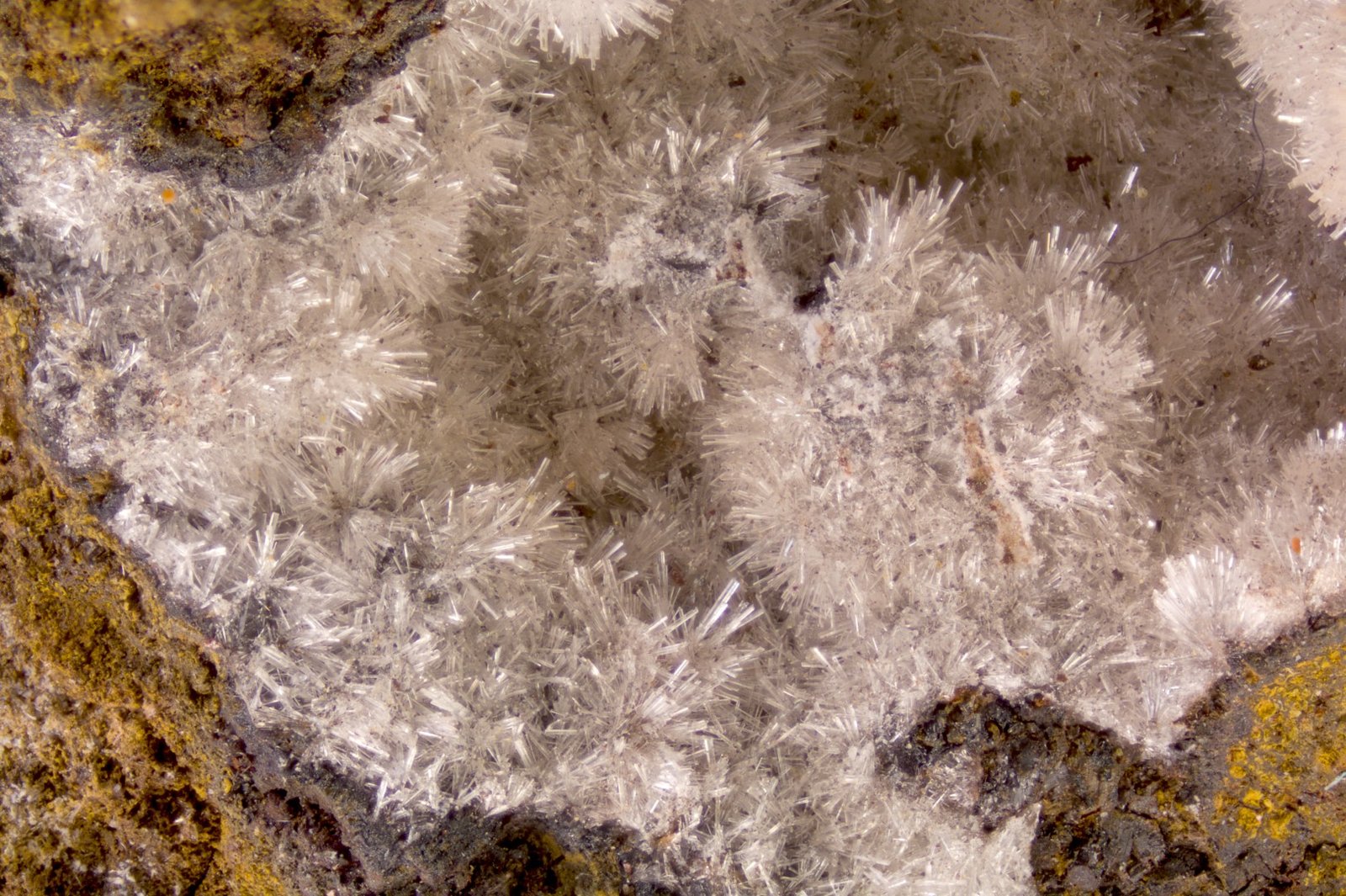 Wavellita
FOV 1 cm
(Autor: Cesar M. Salvan)