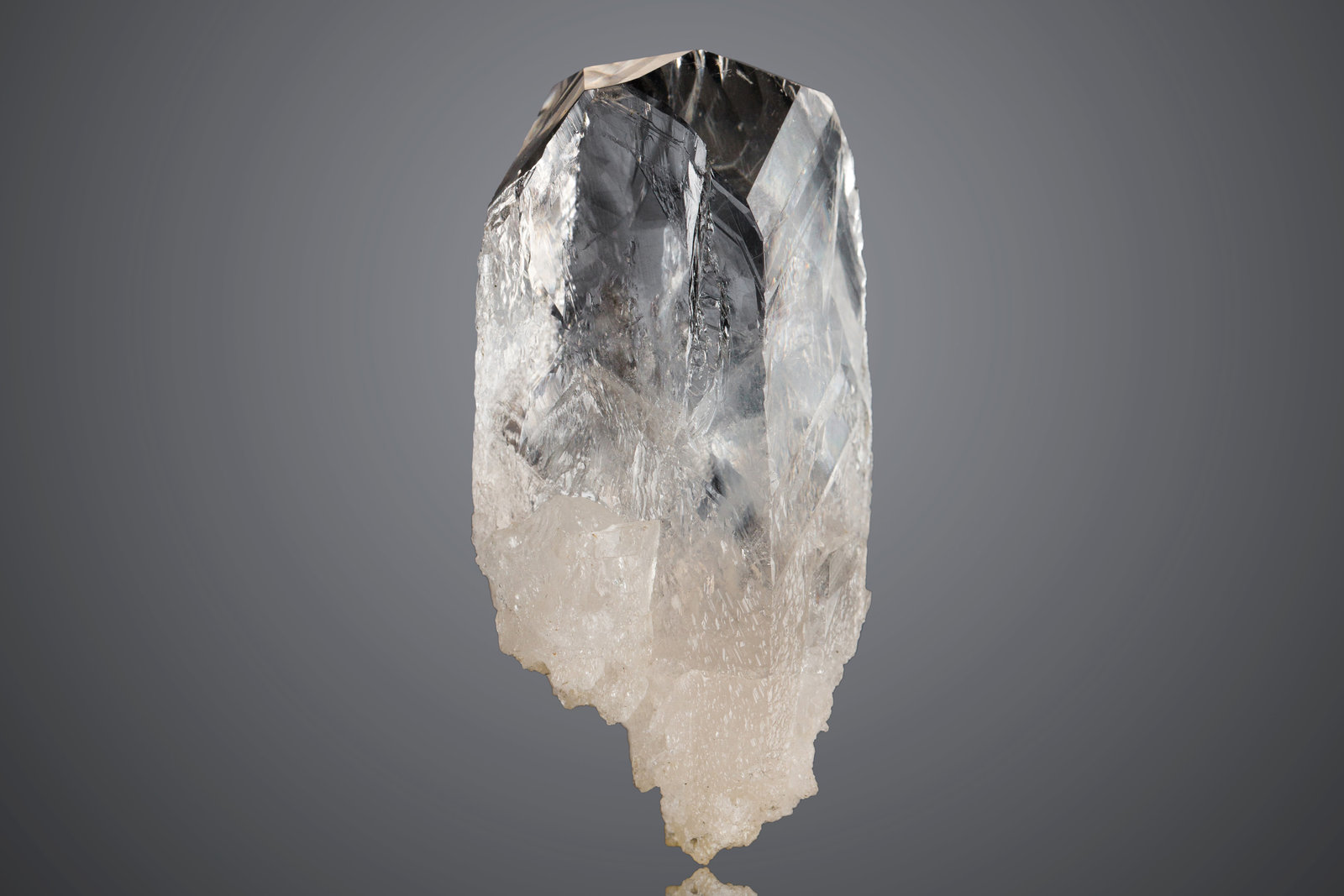 Whewellita
2.5 x 2 x 5.5 cm / cristal principal: 5.5 cm
(Autor: Museo MIM)