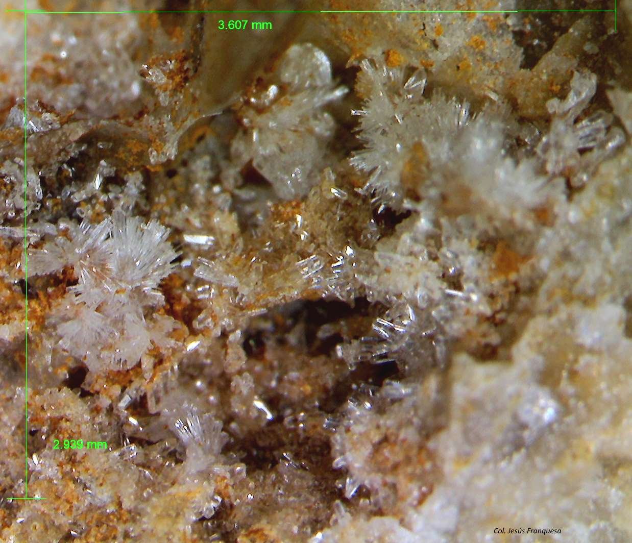 Willemita.
3´607 x 2´939 mm.
(Autor: Jesus Franquesa Baucells)
