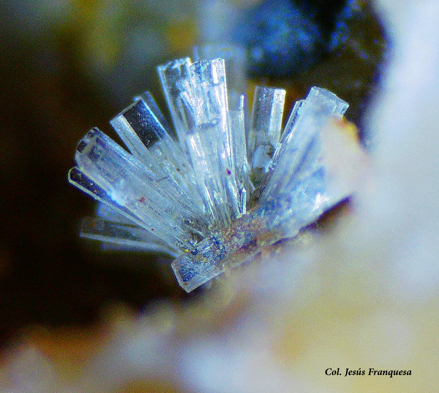 Willemita.
Fvo4
(Autor: Jesus Franquesa Baucells)
