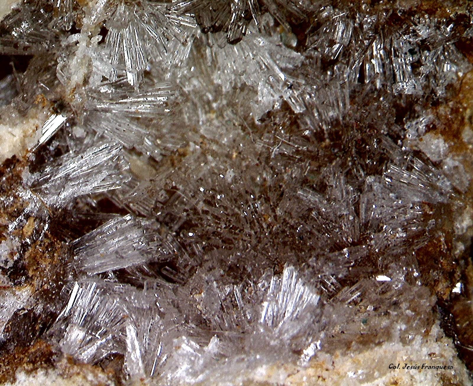 Willemita.
4´958 x 4´070 mm.
(Autor: Jesus Franquesa Baucells)
