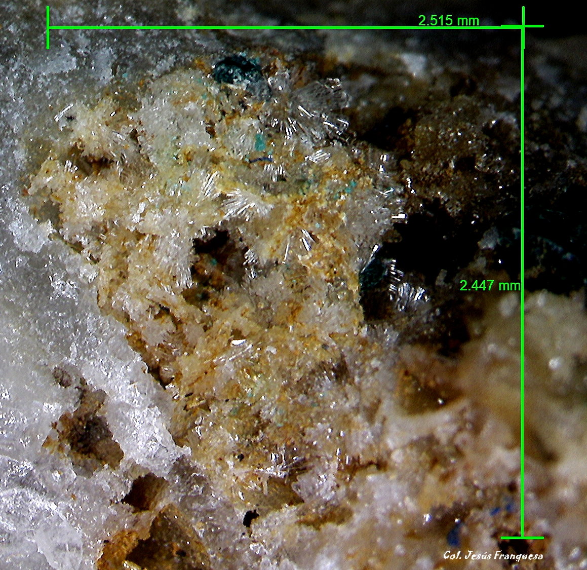 Willemita.
2´515 x 2´447 mm.
(Autor: Jesus Franquesa Baucells)