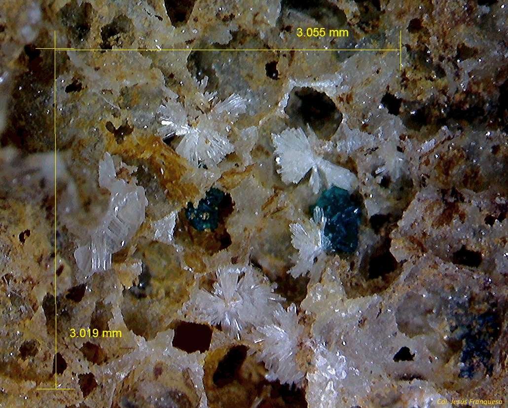 Willemita y Paratacamita.
3´019 x 3´055´mm.
(Autor: Jesus Franquesa Baucells)
