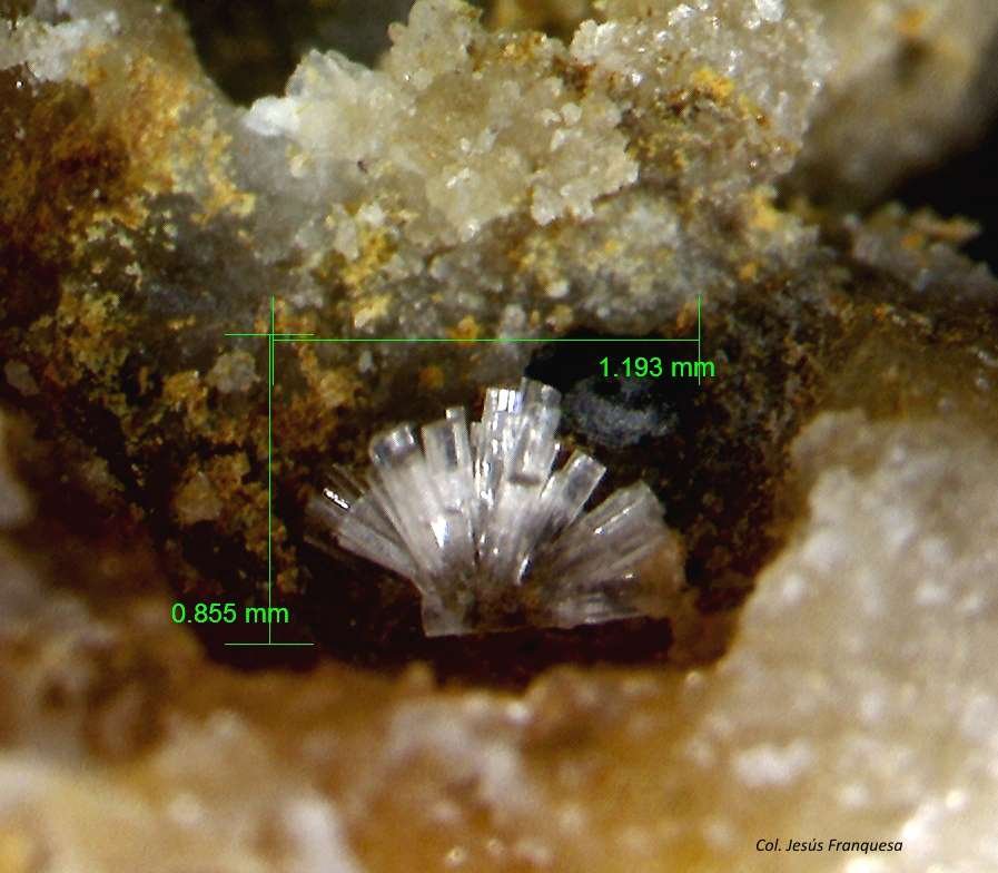 Willemita.
1´193 x 0´855 mm.
(Autor: Jesus Franquesa Baucells)