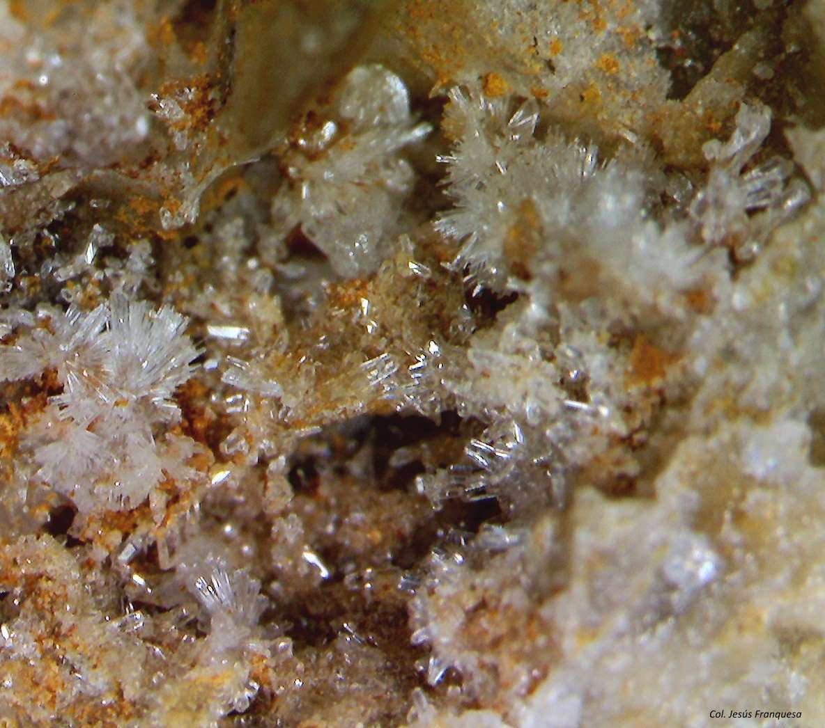 Willemita.
3´607 x 2´939 mm.
(Autor: Jesus Franquesa Baucells)