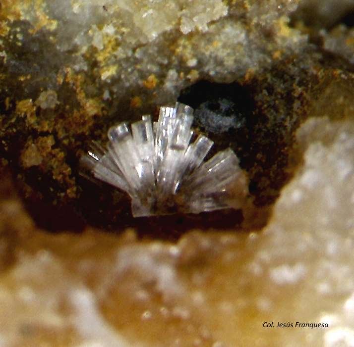 Willemita.
1´193 x 0´855 mm.
(Autor: Jesus Franquesa Baucells)