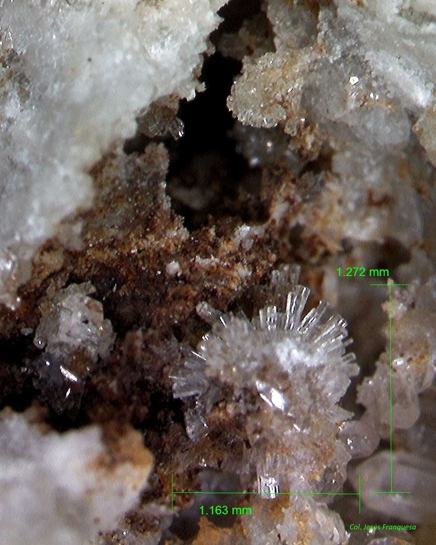 Willemita
1´272 x 1´163 mm.
(Autor: Jesus Franquesa Baucells)