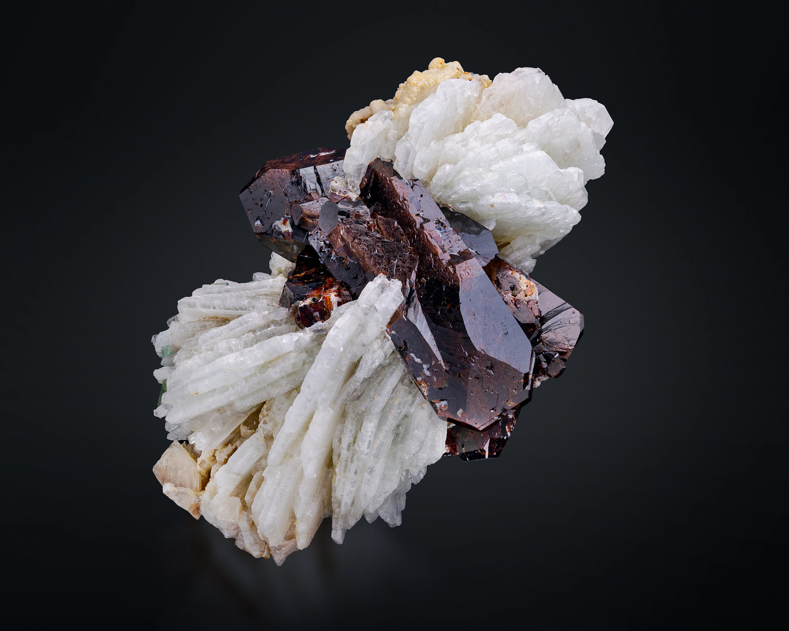Wodginita con Albita
7 x 4.5 x 3.5 cm / cristal principal: 5 cm
(Autor: Museo MIM)