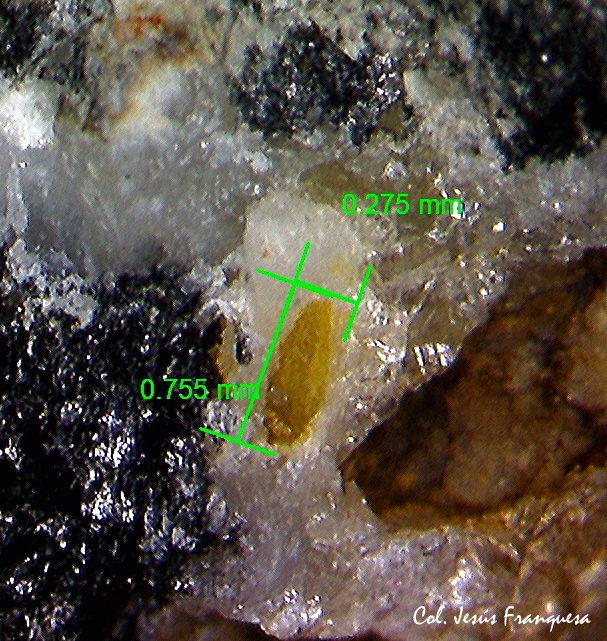 Wulfenita
0´75 x 0´27 mm.
(Autor: Jesus Franquesa Baucells)