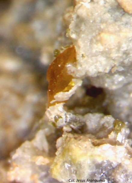 Wulfenita.
1´126 x 0´466 mm.
(Autor: Jesus Franquesa Baucells)