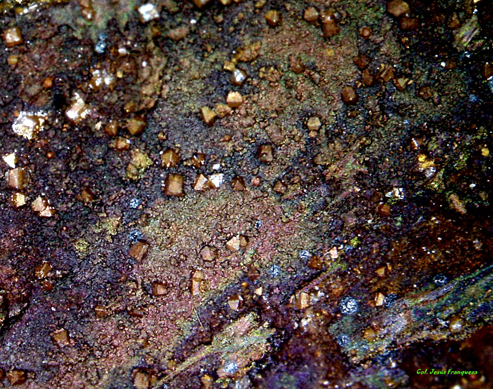 Wulfenita y Goethita
6´365 x 5´181 mm.
(Autor: Jesus Franquesa Baucells)