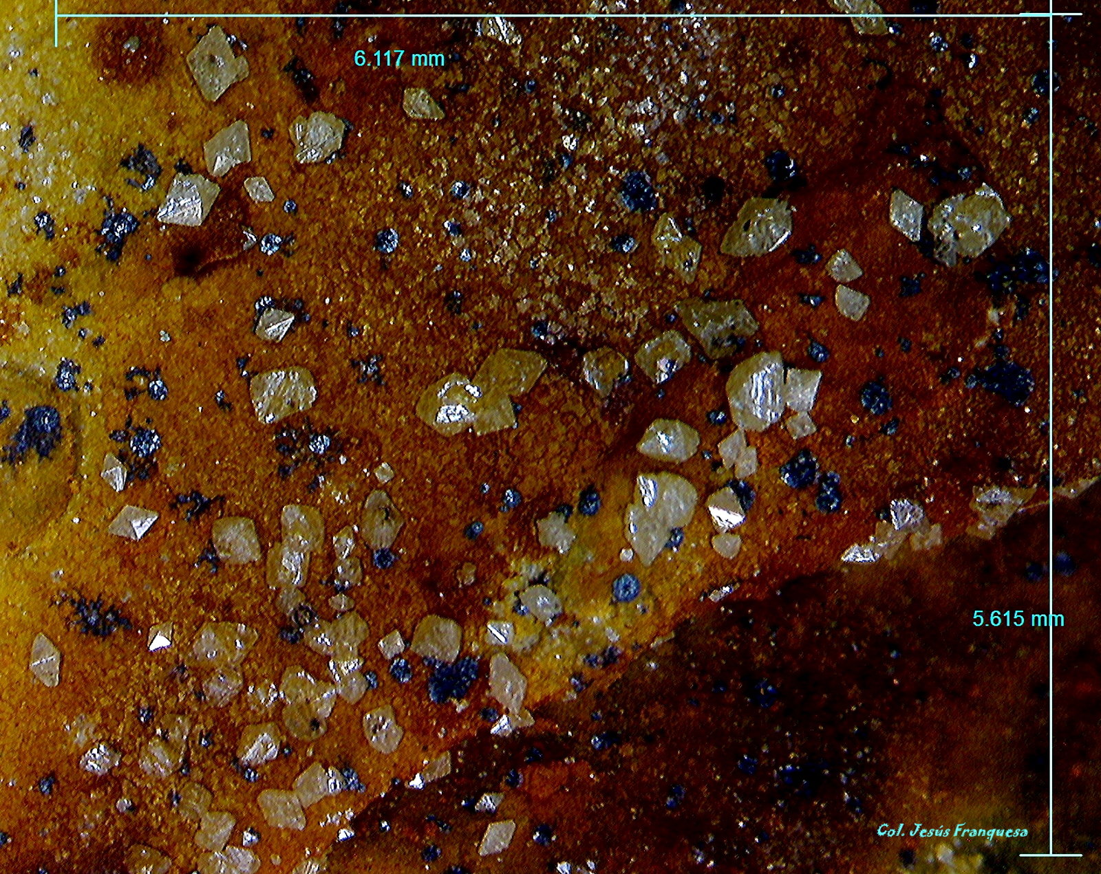 Wulfenita.
6´117 x 5´615 mm.
(Autor: Jesus Franquesa Baucells)