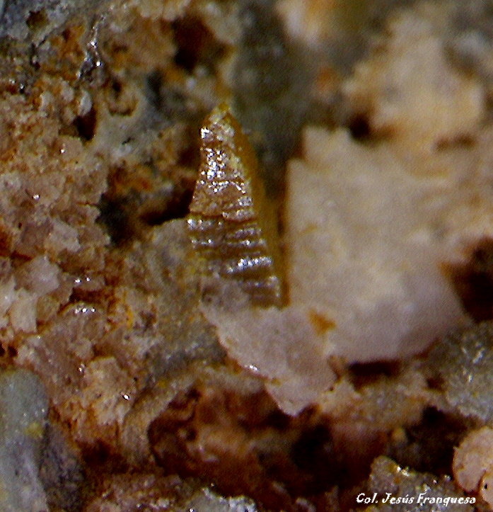 Wulfenita.
0´722 x 0´415 mm.
(Autor: Jesus Franquesa Baucells)
