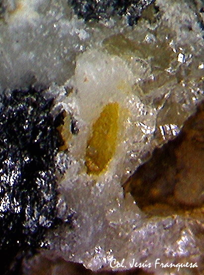 Wulfenita
0´75 x 0´27 mm.
(Autor: Jesus Franquesa Baucells)