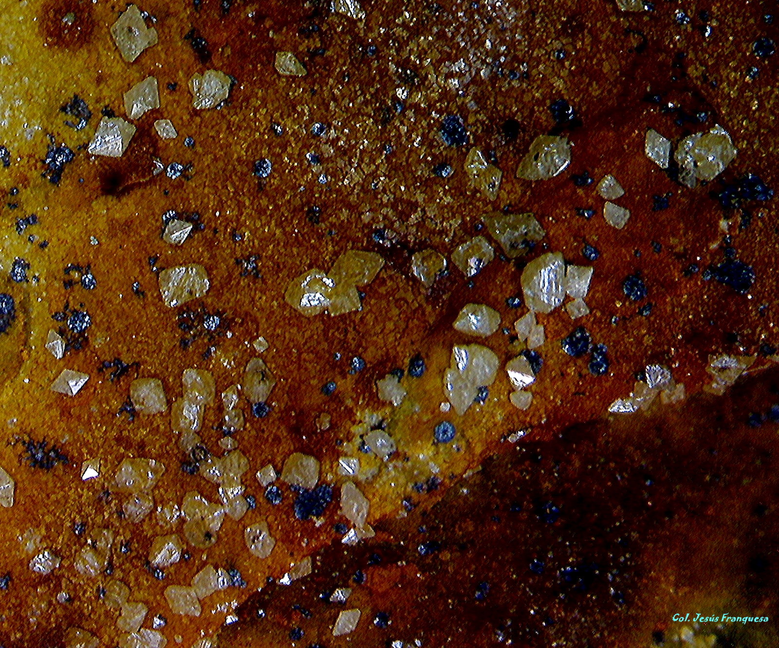 Wulfenita.
6´117 x 5´615 mm.
(Autor: Jesus Franquesa Baucells)