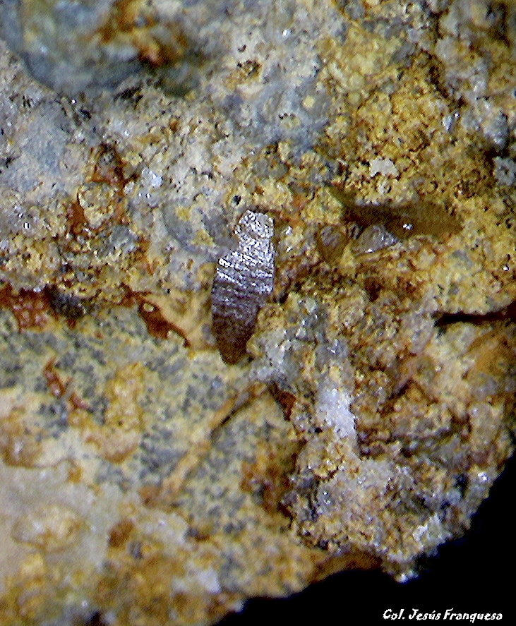 Wulfenita.
0´588x0´260 mm.
(Autor: Jesus Franquesa Baucells)