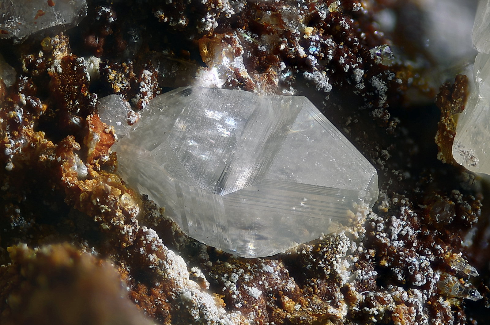Wulfenita
Campo de visión 2,8 mm.
(Autor: Juan Miguel)