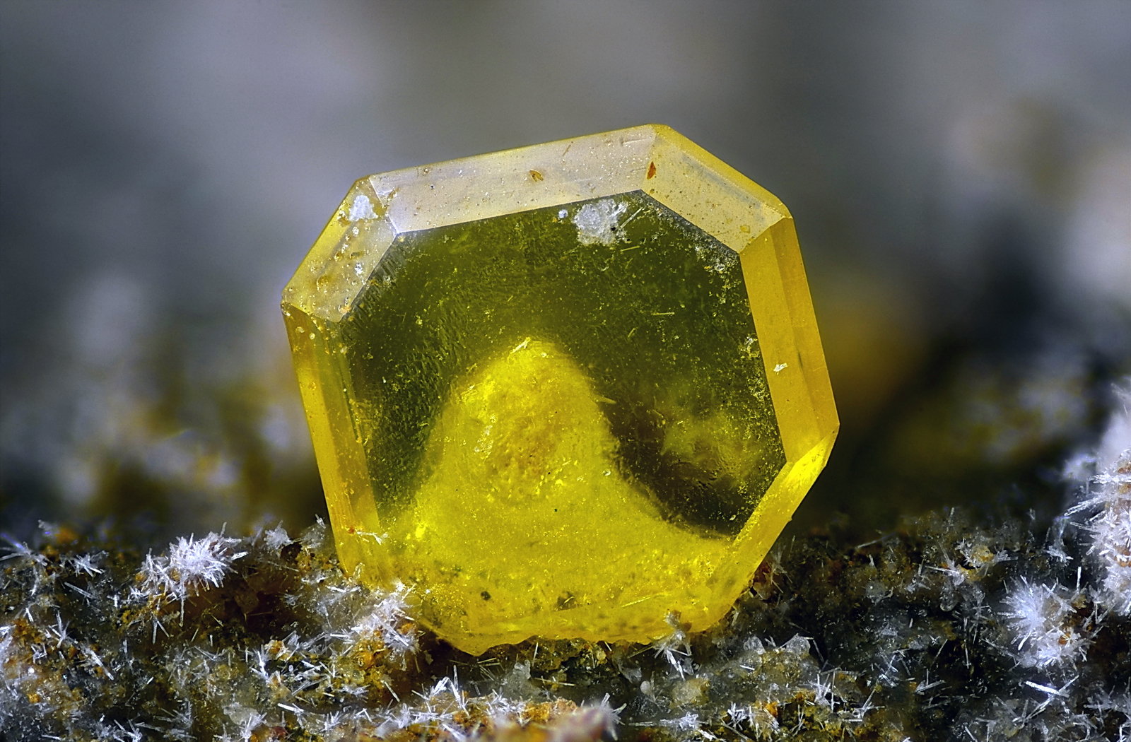 Wulfenita
Campo de visión 2 mm.
(Autor: Juan Miguel)