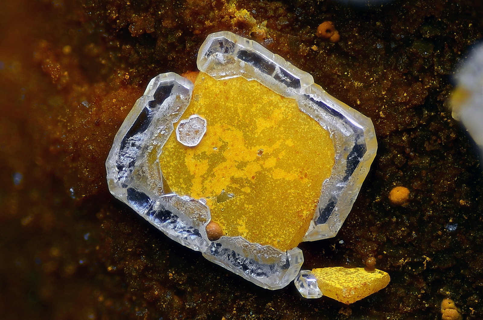 Wulfenita
Campo de visión 2,2 mm
(Autor: Juan Miguel)