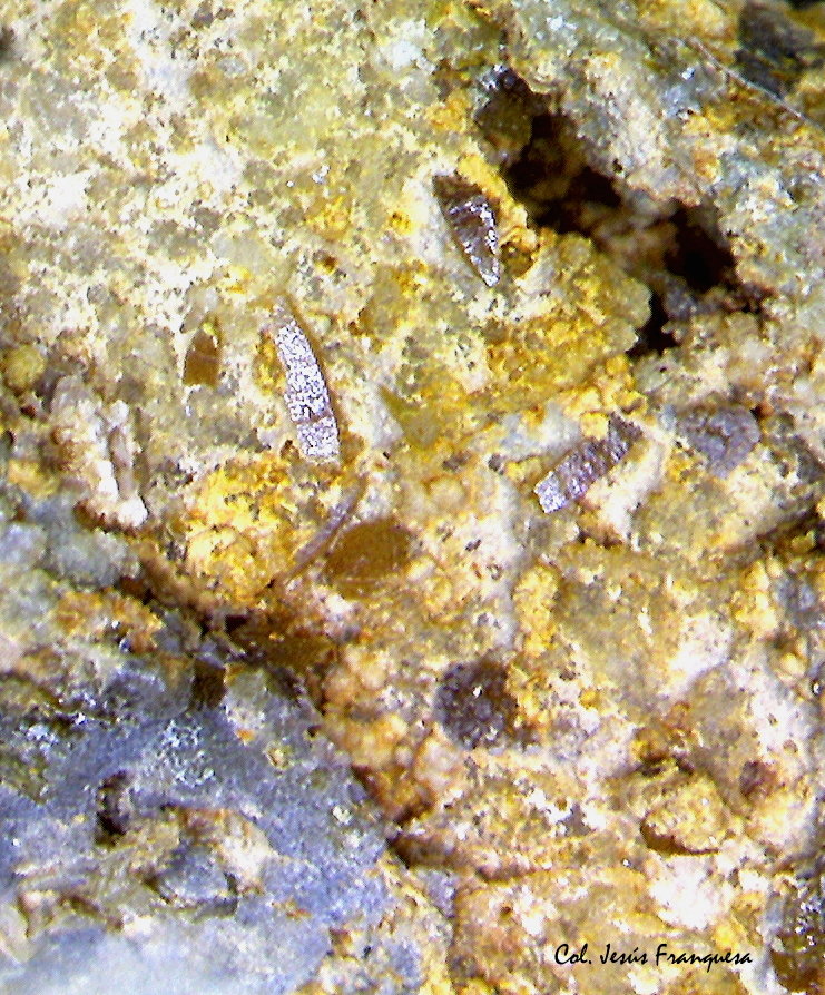 Wulfenita
1´36 x 1´34 mm.
(Autor: Jesus Franquesa Baucells)