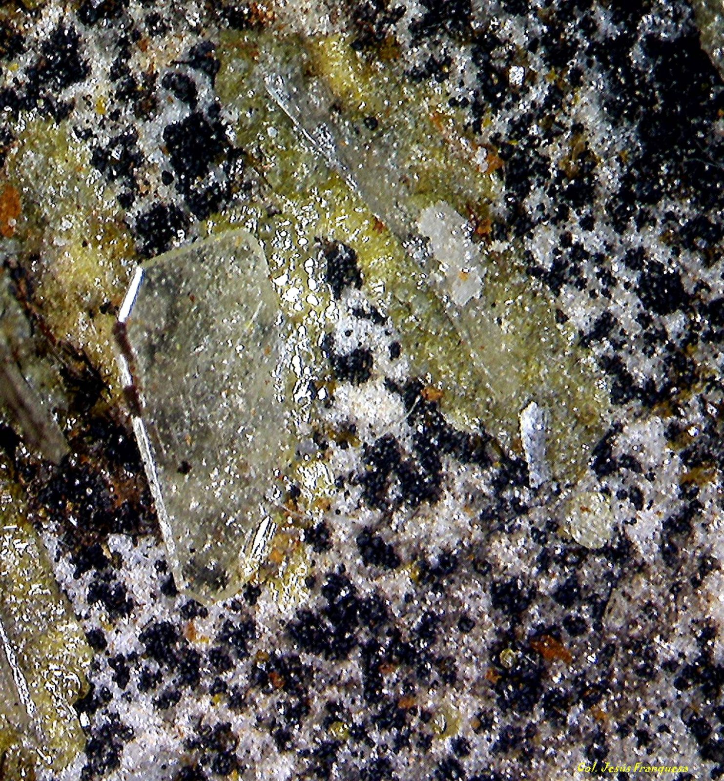 Wulfenita.
1´475 x 0´0568 mm.
(Autor: Jesus Franquesa Baucells)