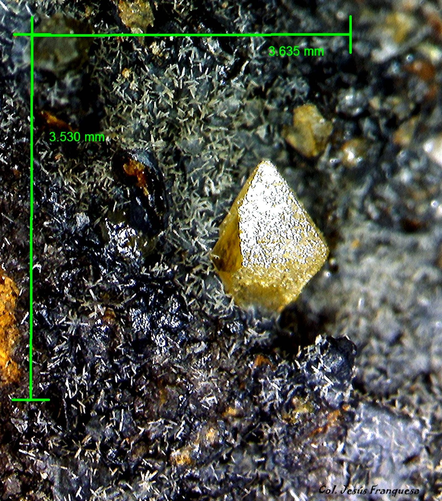 Wulfenita y Piromorfita.
3´635 x 3´530 mm.
(Autor: Jesus Franquesa Baucells)