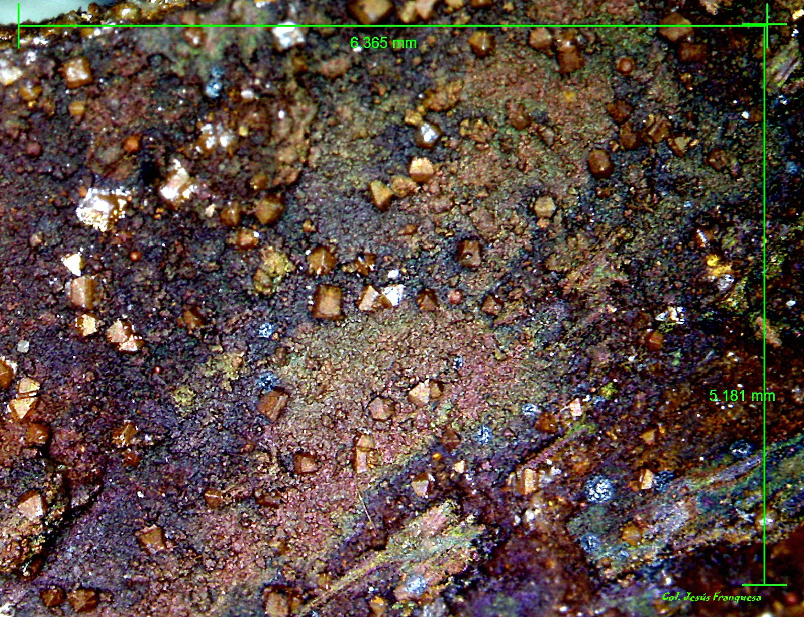 Wulfenita y Goethita
6´365 x 5´181 mm.
(Autor: Jesus Franquesa Baucells)