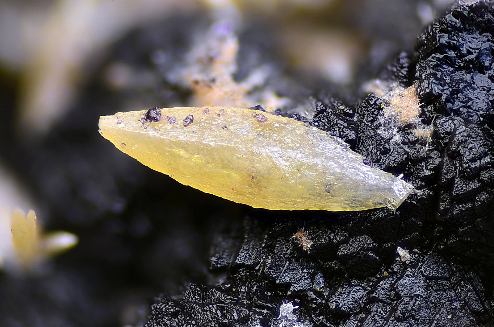 Wulfenita
Campo de visión 2 mm
(Autor: Juan Miguel)