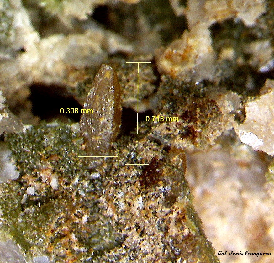 Wulfenita y Piromorfita.
0´713 x 0´308 mm.
(Autor: Jesus Franquesa Baucells)