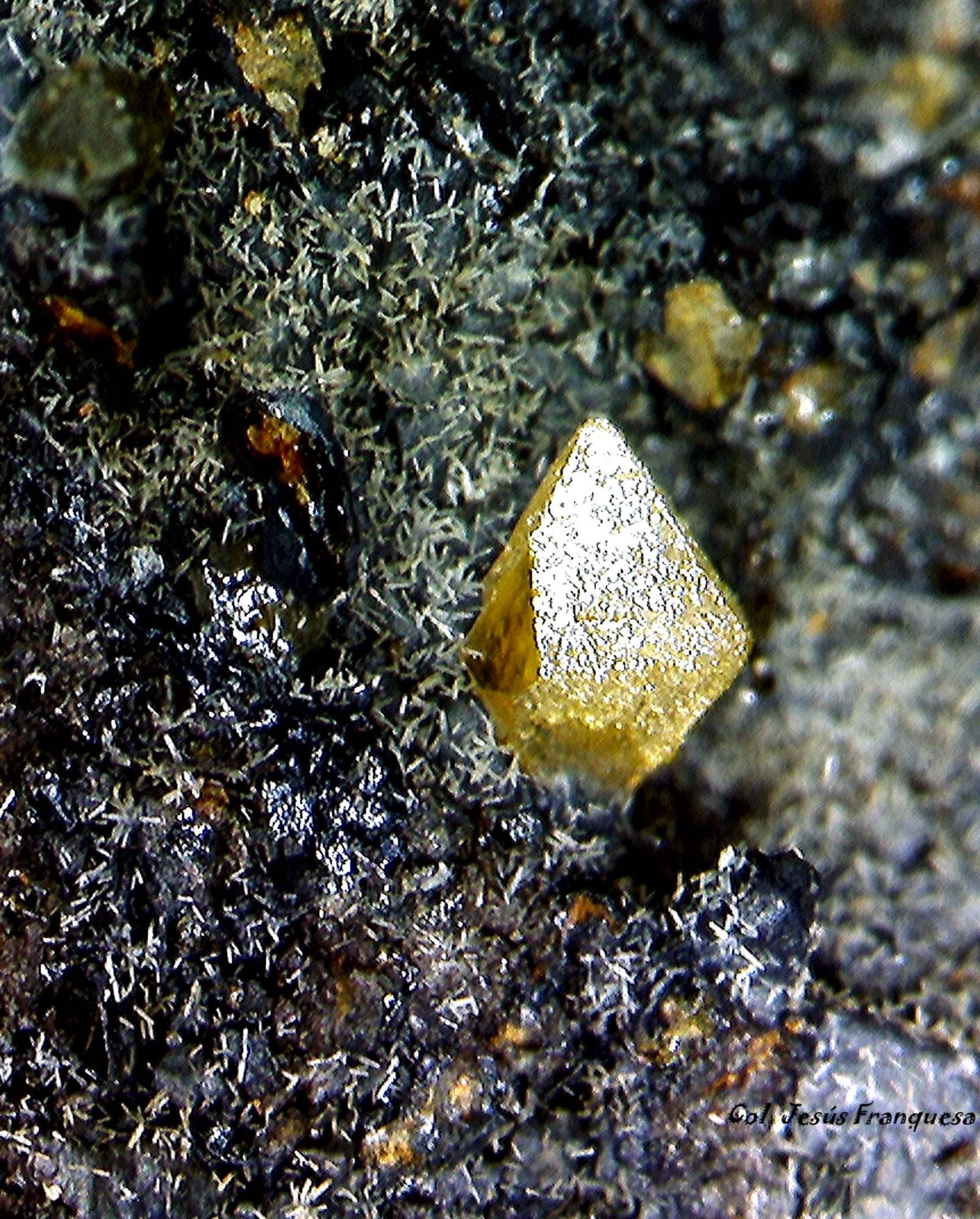 Wulfenita y Piromorfita.
3´635 x 3´530 mm.
(Autor: Jesus Franquesa Baucells)