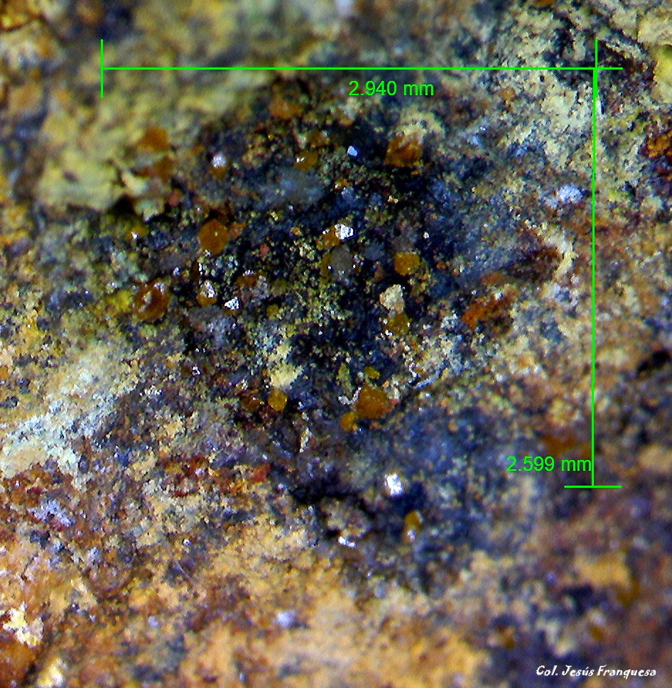 Wulfenita.
2´940 x 2´599 mm.
(Autor: Jesus Franquesa Baucells)