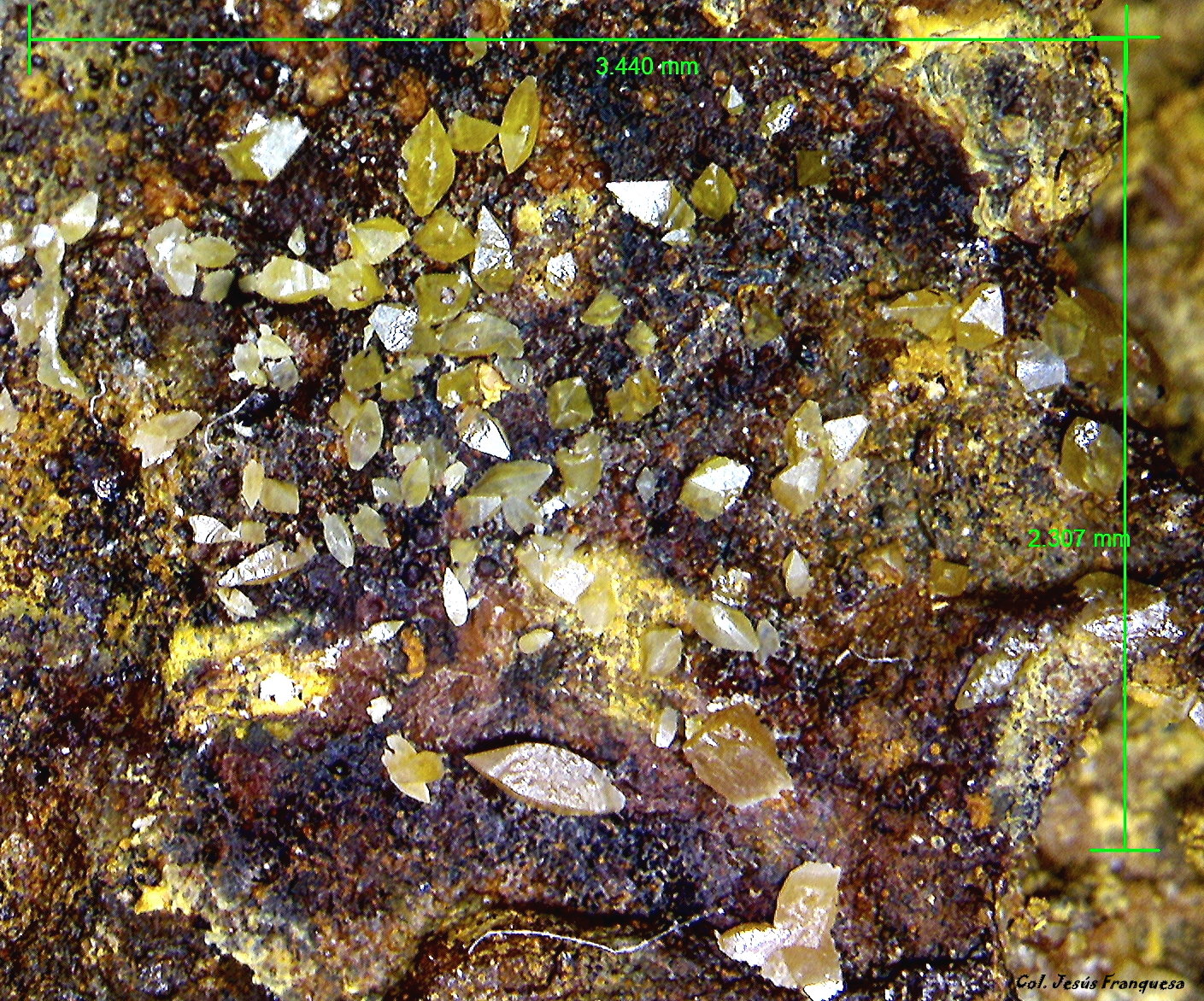 Wulfenita.
3´44 x 2´30 mm
(Autor: Jesus Franquesa Baucells)
