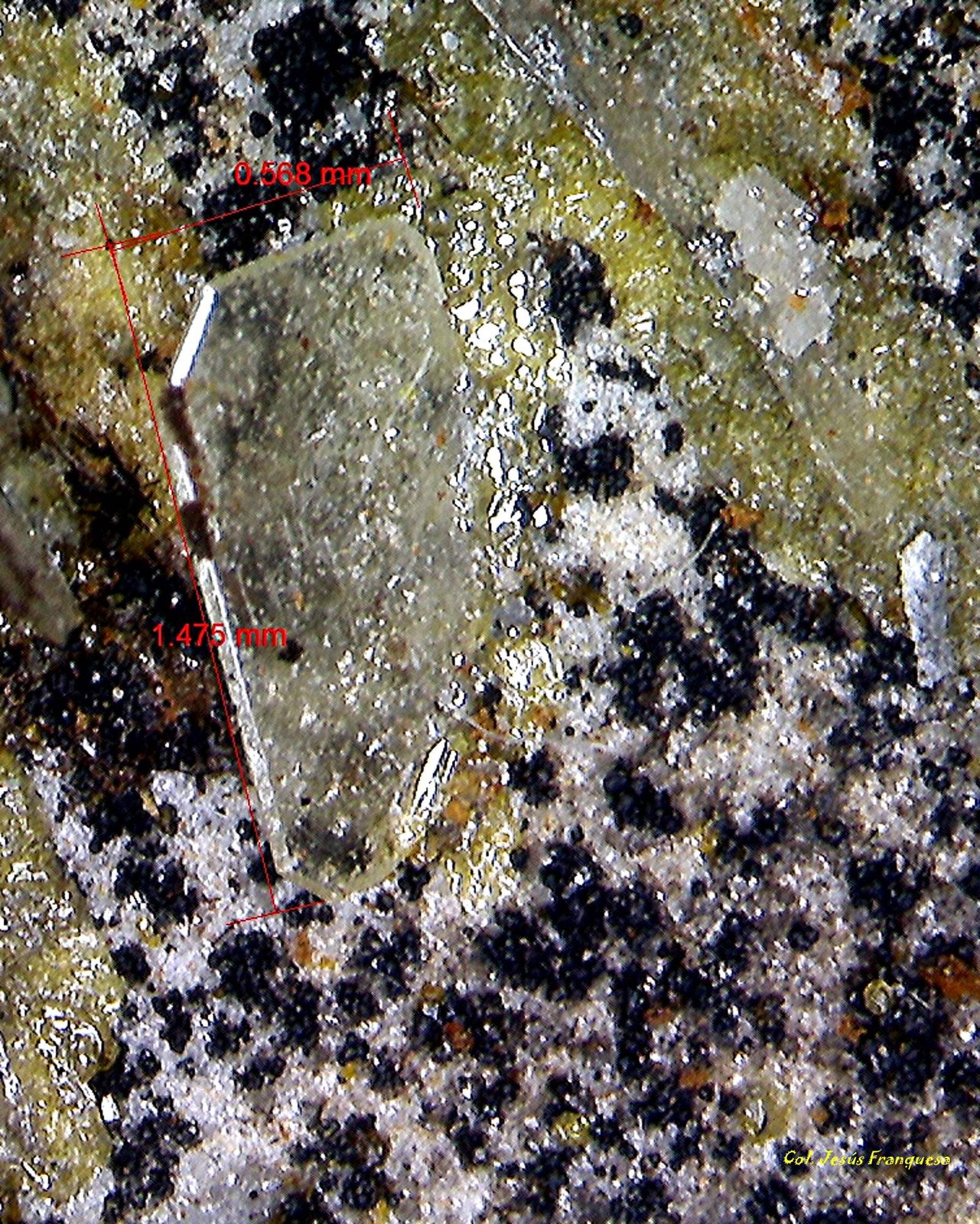 Wulfenita.
1´475 x 0´0568 mm.
(Autor: Jesus Franquesa Baucells)