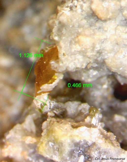 Wulfenita.
1´126 x 0´466 mm.
(Autor: Jesus Franquesa Baucells)
