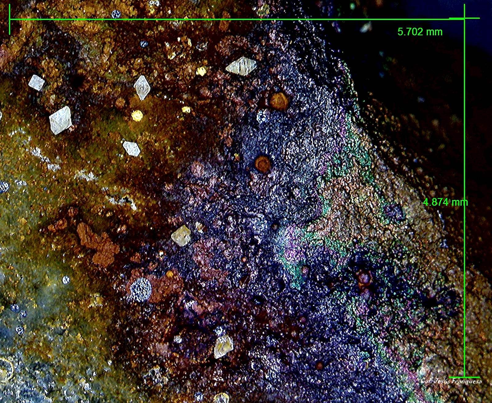 Wulfenita y Goethita.
5´702 x 4´874 mm.
(Autor: Jesus Franquesa Baucells)