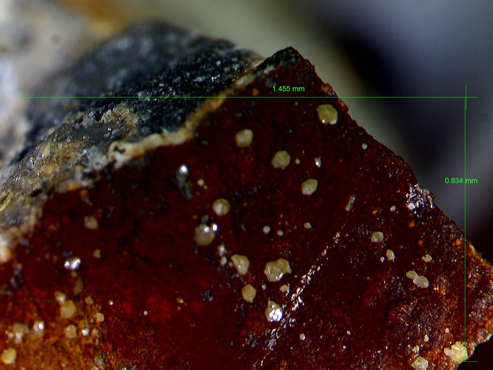 Wulfenita
1´445 x 0´834 mm.
(Autor: Jesus Franquesa Baucells)