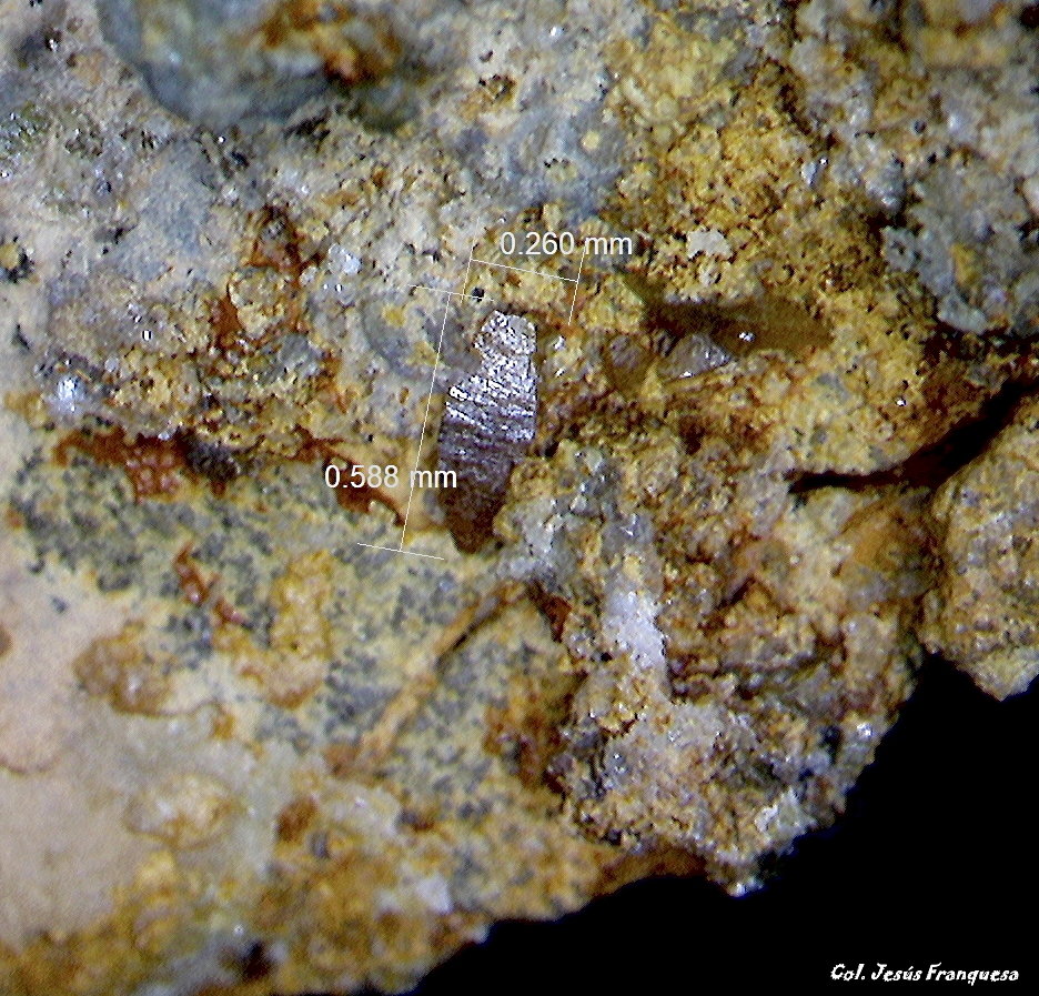 Wulfenita.
0´588x0´260 mm.
(Autor: Jesus Franquesa Baucells)