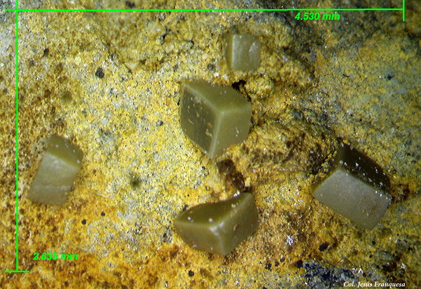 Wulfenita.
4´53x2´63 mm.
(Autor: Jesus Franquesa Baucells)