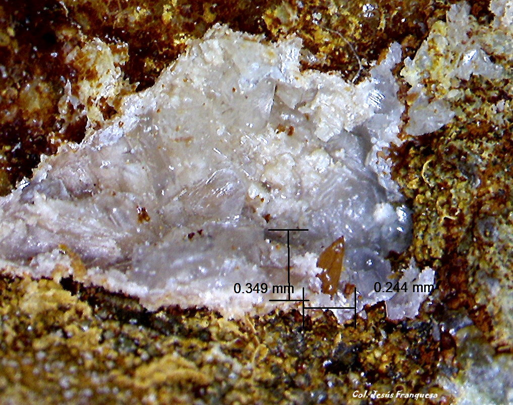Wulfenita.
0´347 x 0´244 mm.
(Autor: Jesus Franquesa Baucells)