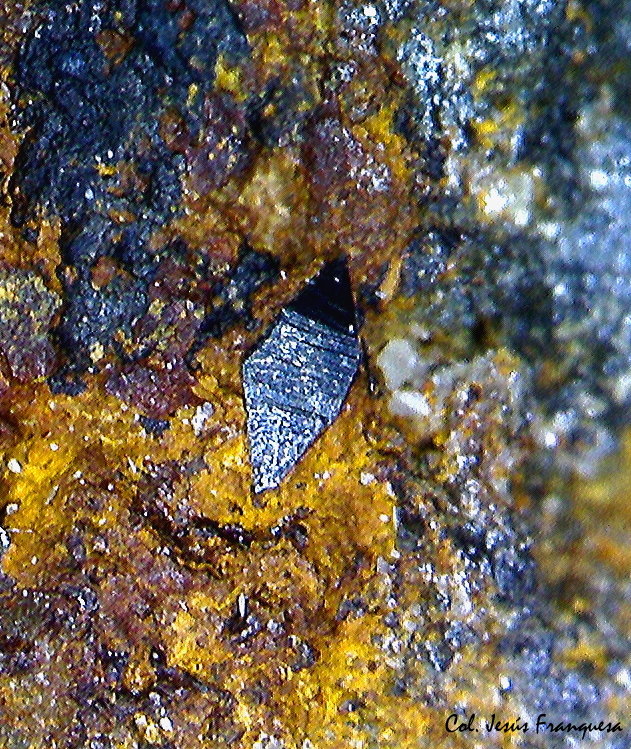 Wulfenita.
1´19 x 0´49 mm.
(Autor: Jesus Franquesa Baucells)