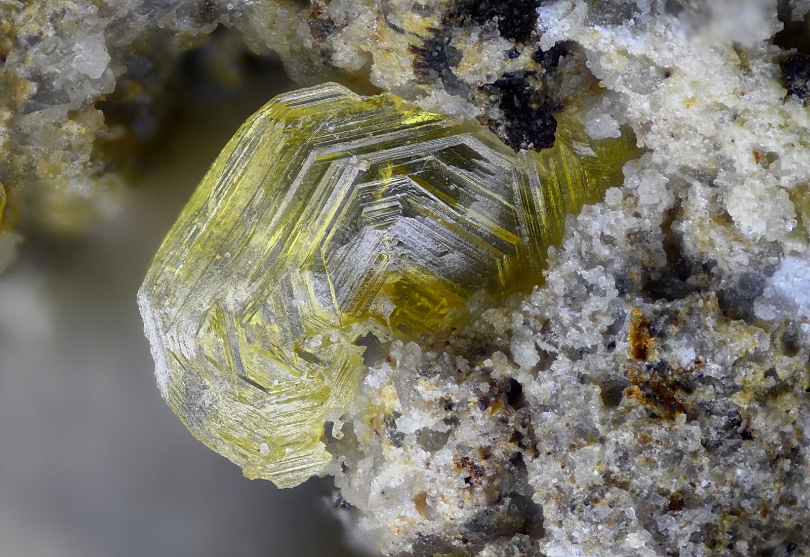 Wulfenita
Campo de visión 2,5 mm
(Autor: Juan Miguel)