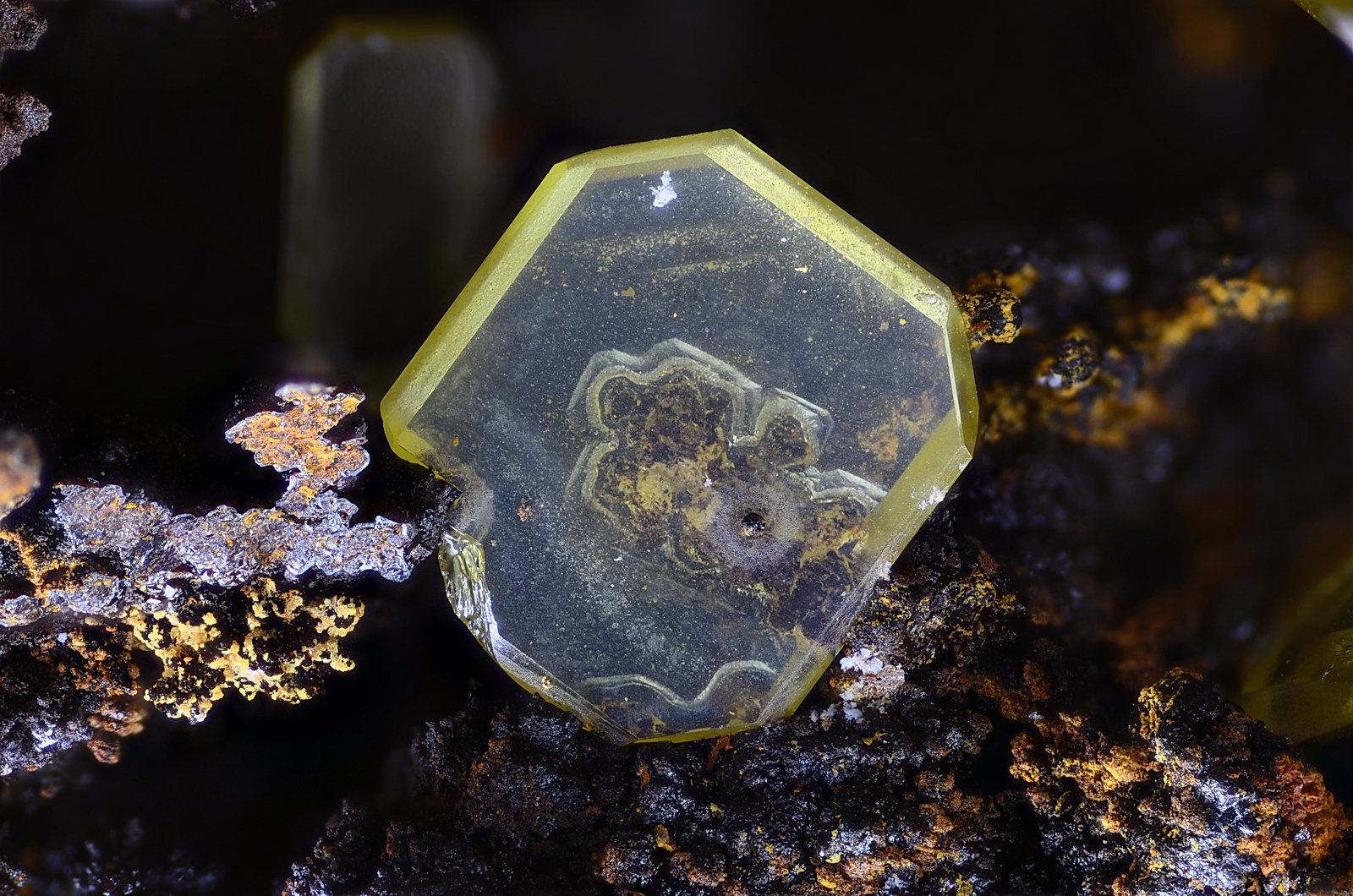Wulfenita
Campo de visión 6 mm.
(Autor: Juan Miguel)