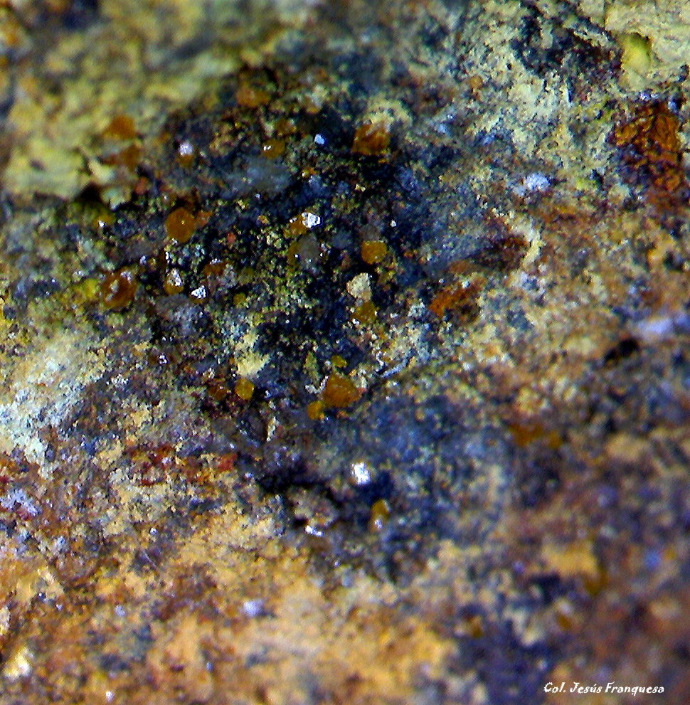 Wulfenita.
2´940 x 2´599 mm.
(Autor: Jesus Franquesa Baucells)