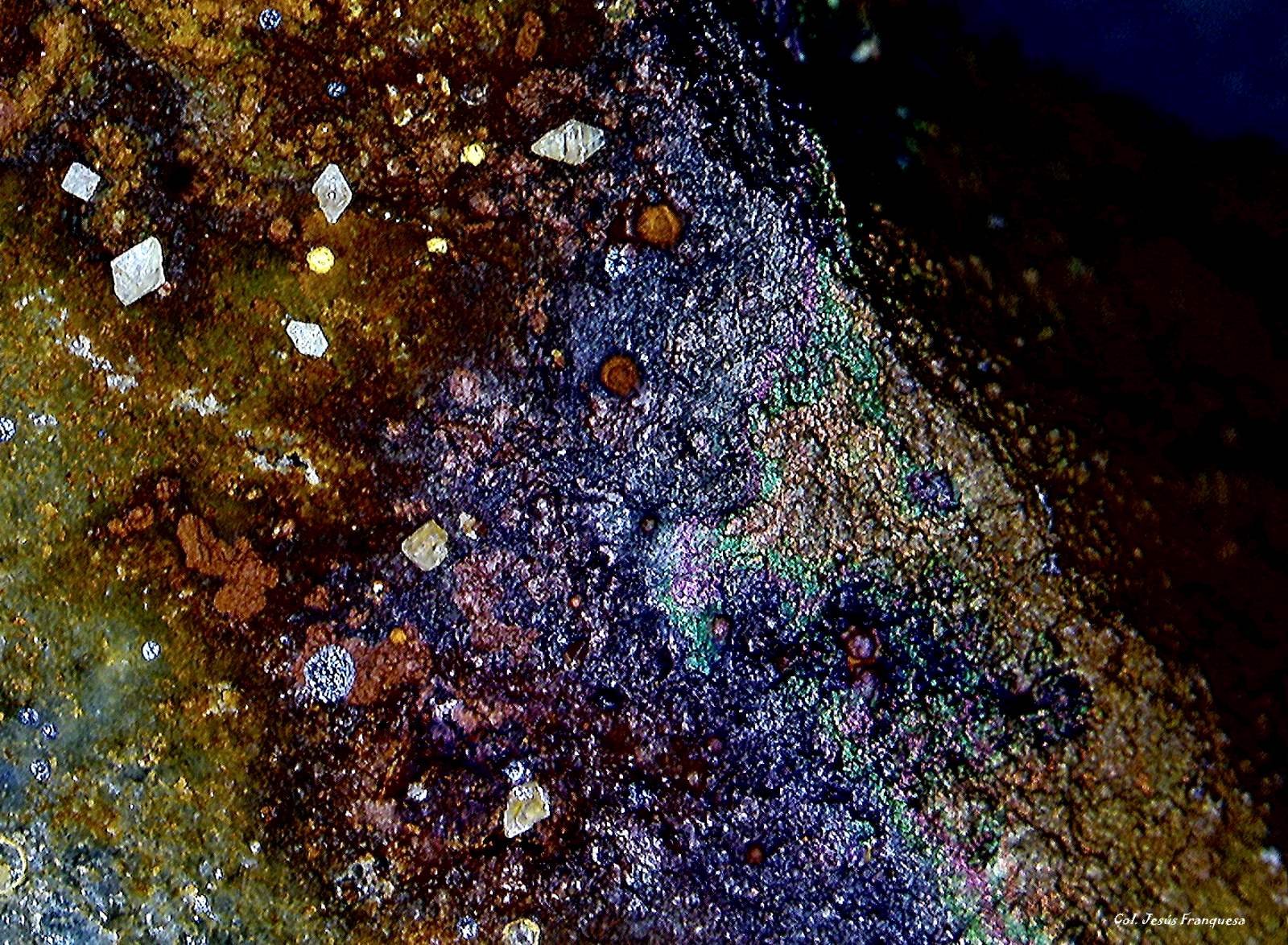 Wulfenita y Goethita.
5´702 x 4´874 mm.
(Autor: Jesus Franquesa Baucells)