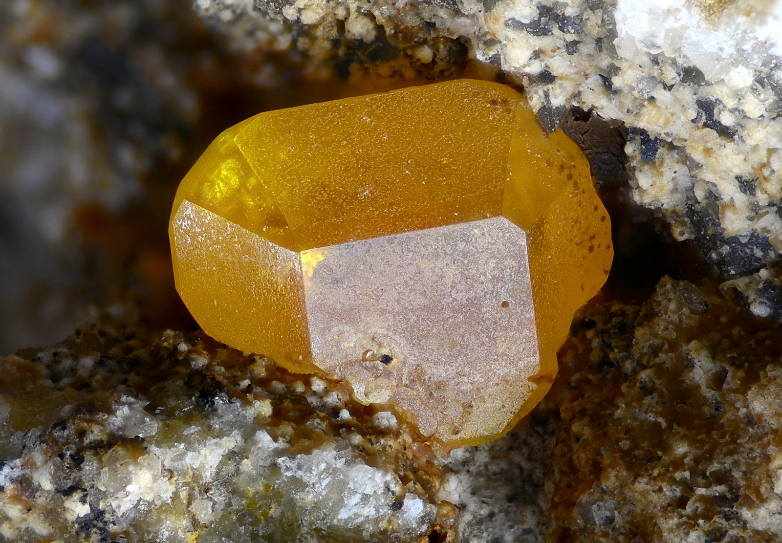 Wulfenita
Campo de visión 4 mm
(Autor: Juan Miguel)