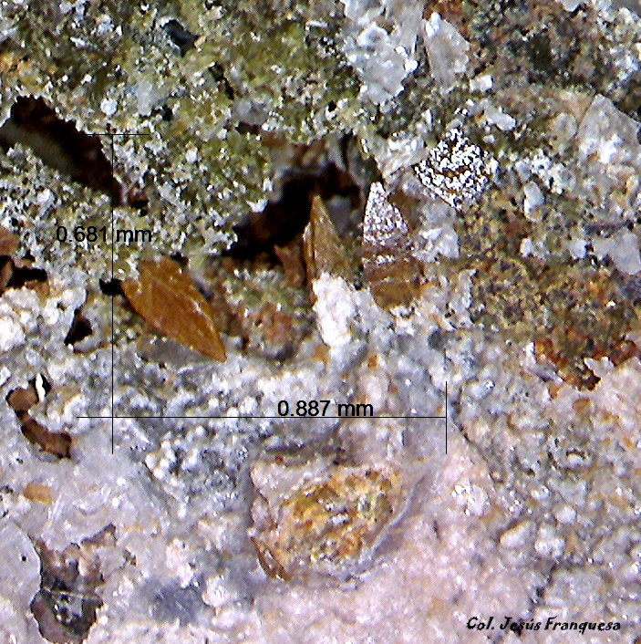 Wulfenita.
0´887 x 0´681 mm.
(Autor: Jesus Franquesa Baucells)