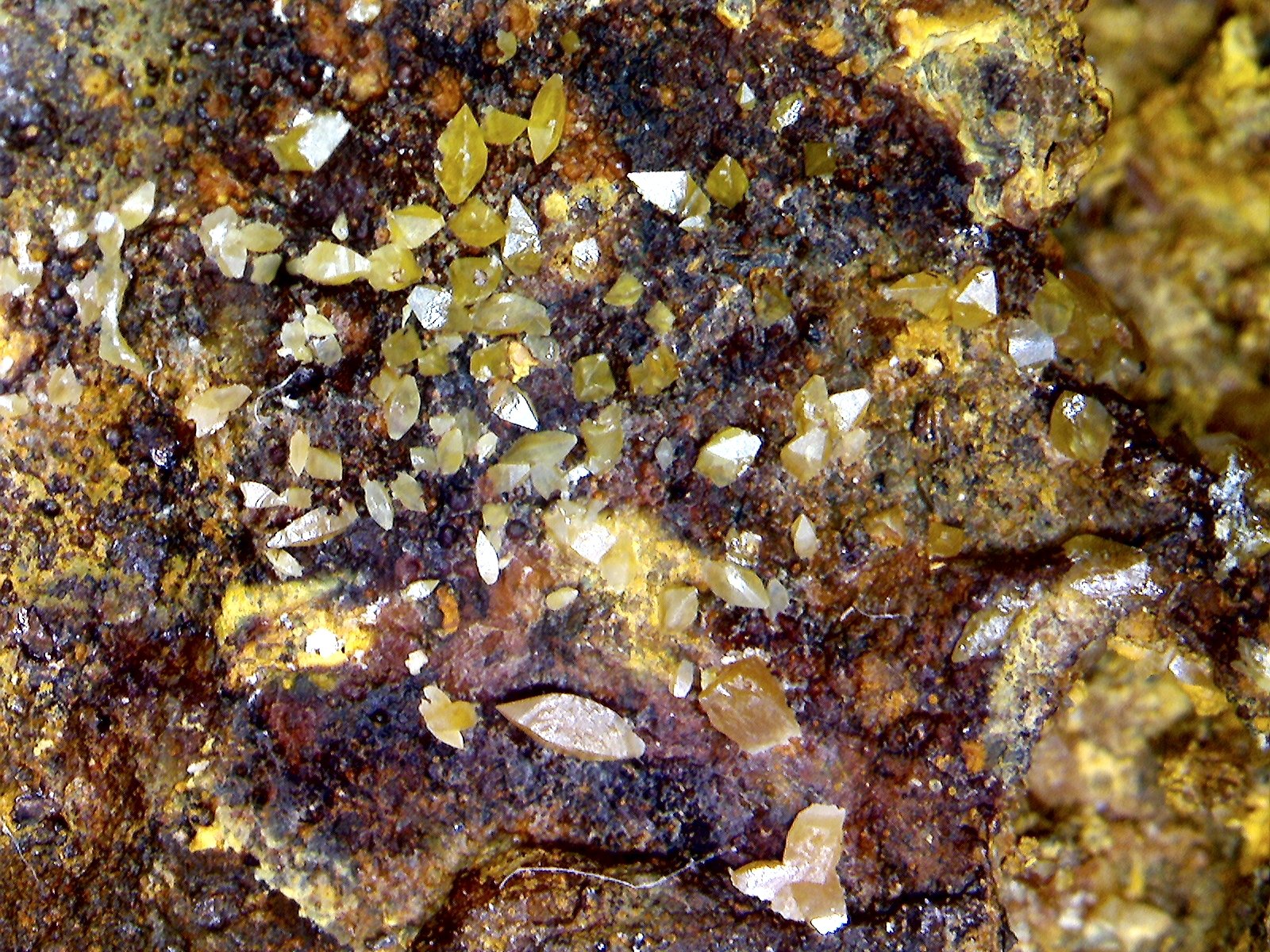 Wulfenita.
3´44 x 2´30 mm
(Autor: Jesus Franquesa Baucells)